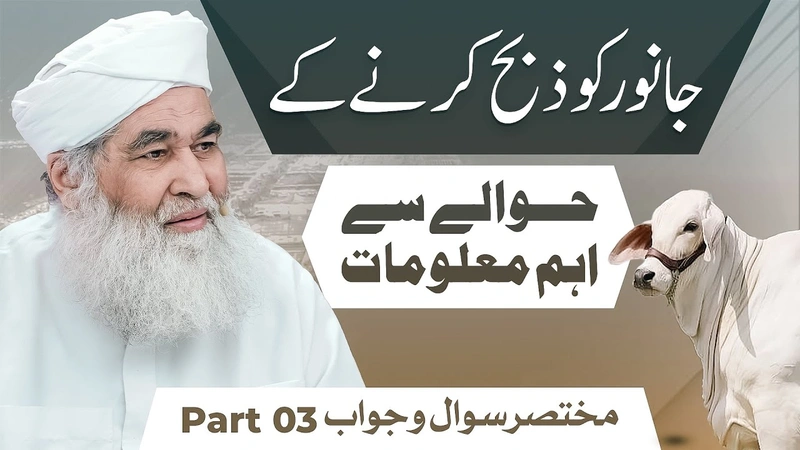 Janwar Zibah Karne Ke Hawale Se Aham Maloomat Part:03 | Qurbani Ke Masail | Maulana Ilyas Qadri